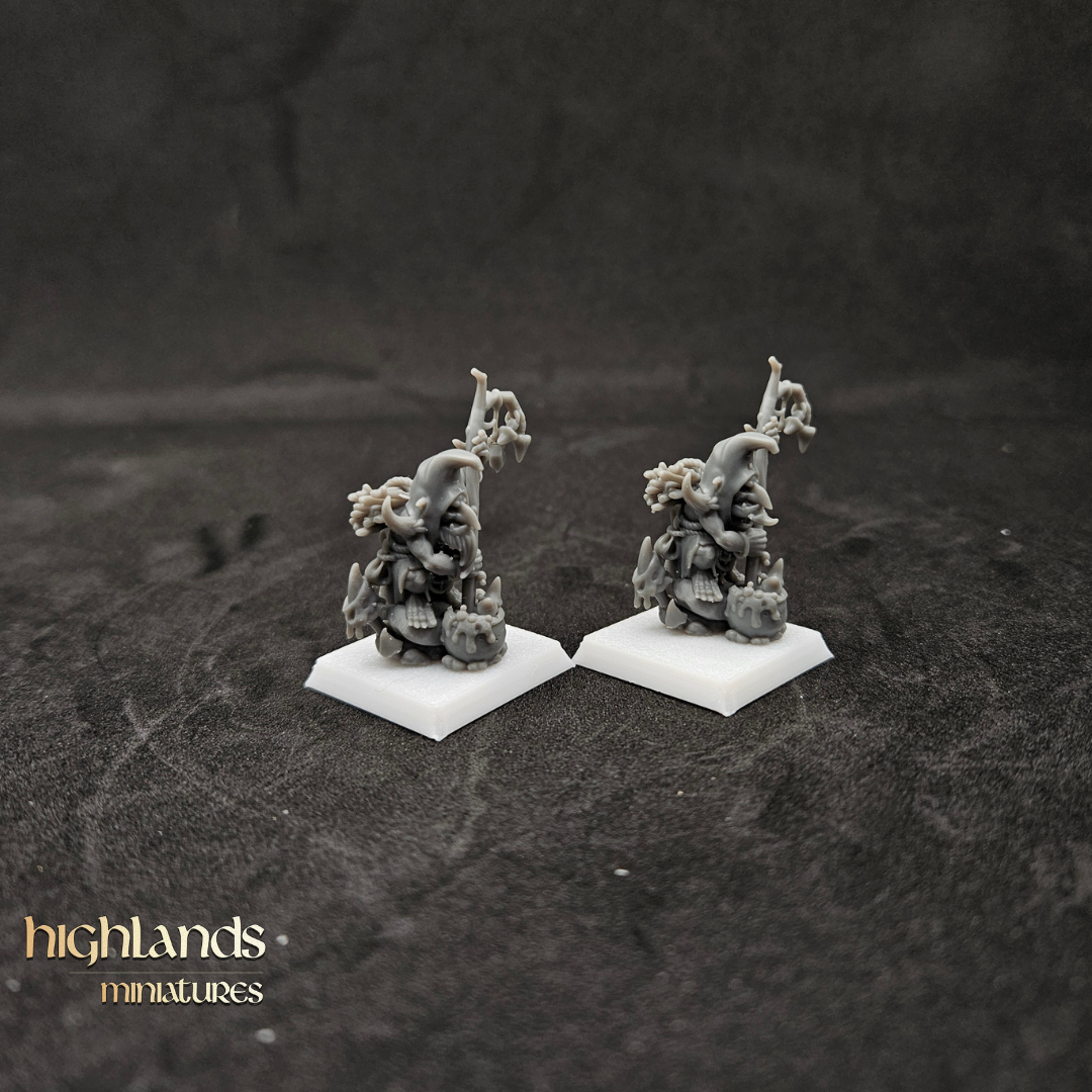 Chamanes duendes del pantano