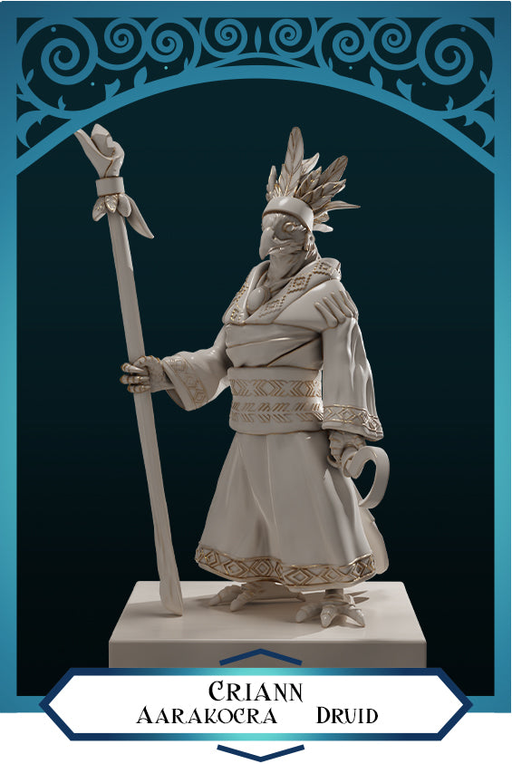 Criann Mujer Aarakocra Druida