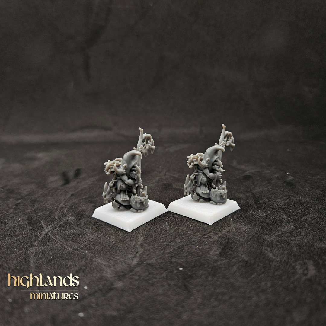 Chamanes duendes del pantano