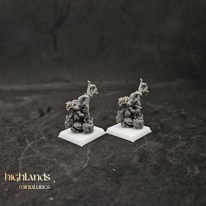 Chamanes duendes del pantano