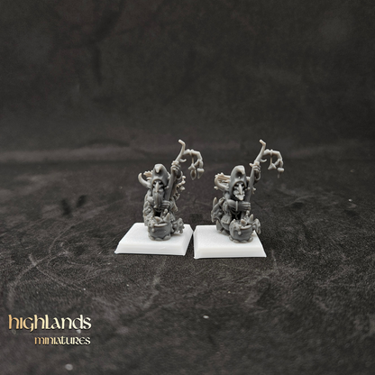 Chamanes duendes del pantano