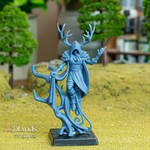 Load image into Gallery viewer, Feral Elf Druid
