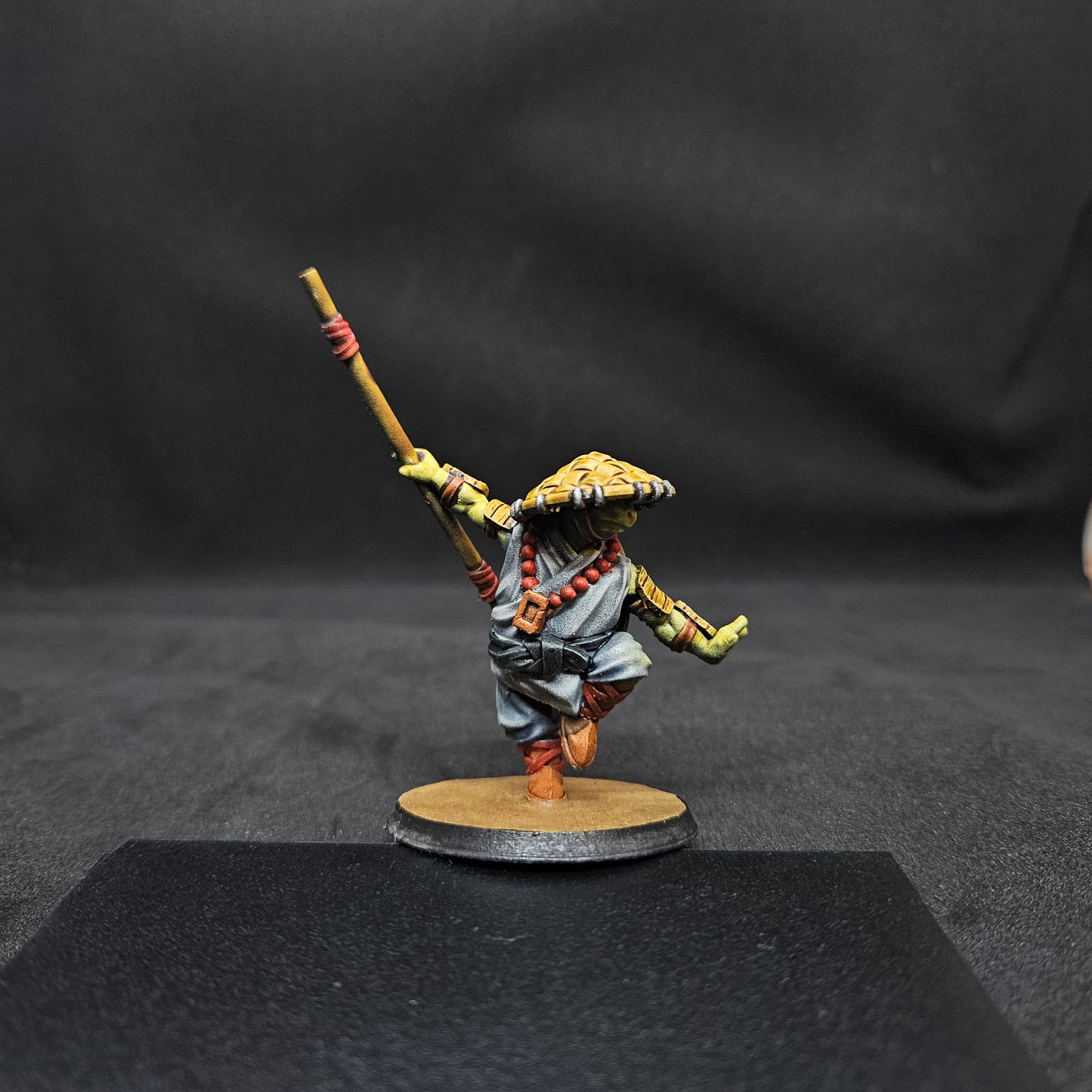 Baenya Female Tortle Monk