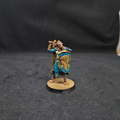 Tanshanae Female Dragonborn Paladin