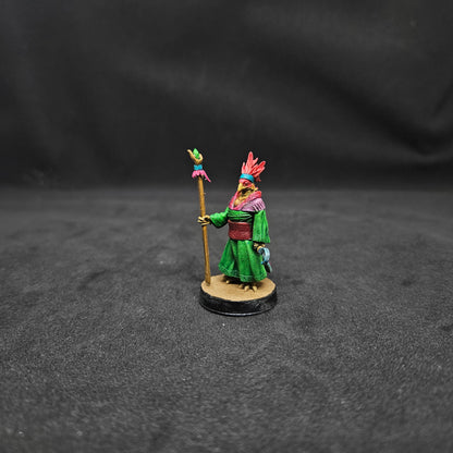 Criann Mujer Aarakocra Druida