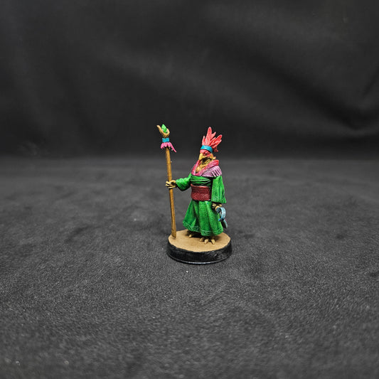 Criann Mujer Aarakocra Druida