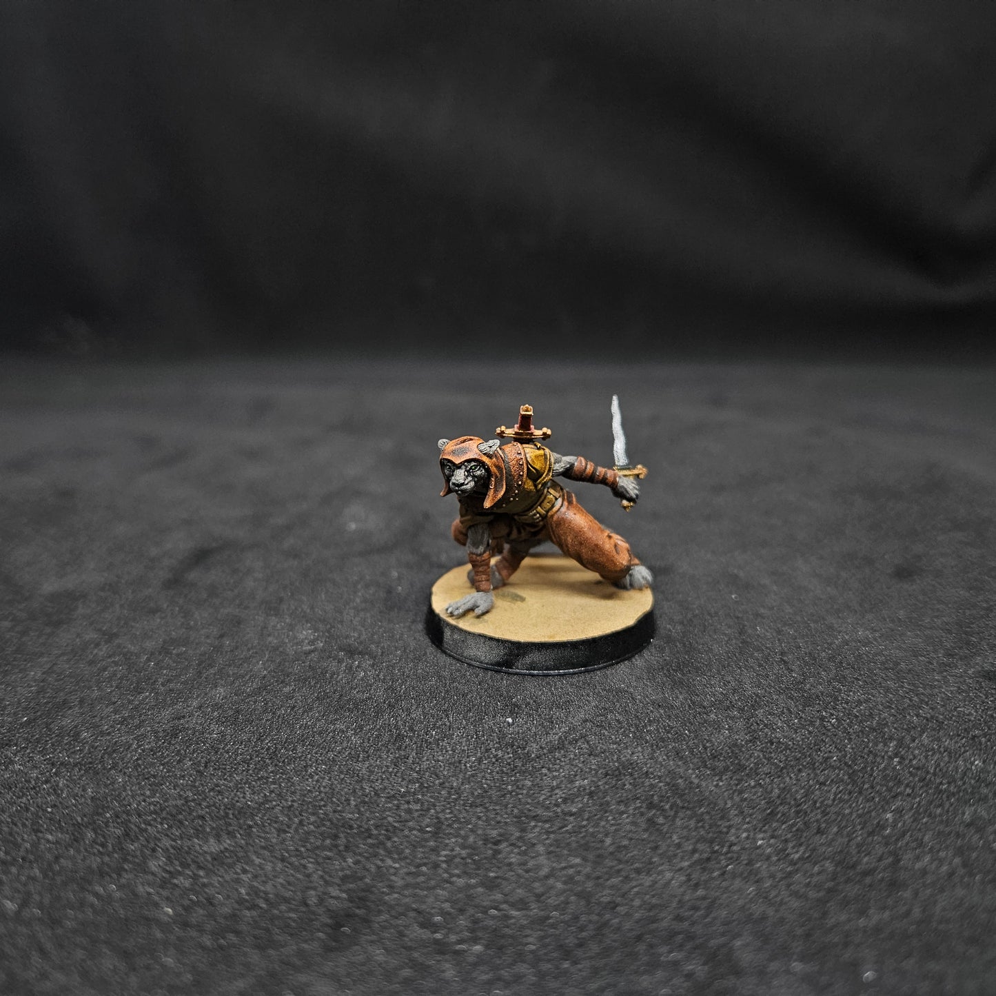 Naomi Mujer Tabaxi Pícara