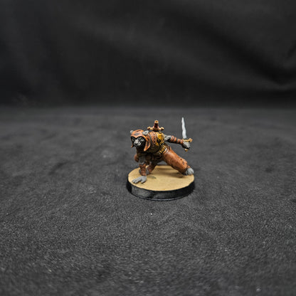 Naomi Mujer Tabaxi Pícara