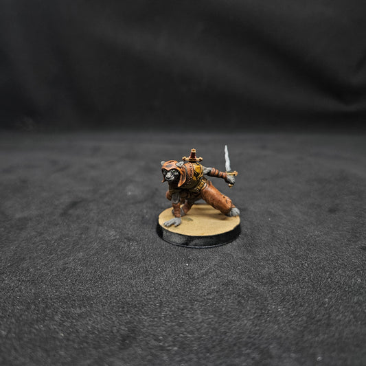 Naomi Mujer Tabaxi Pícara