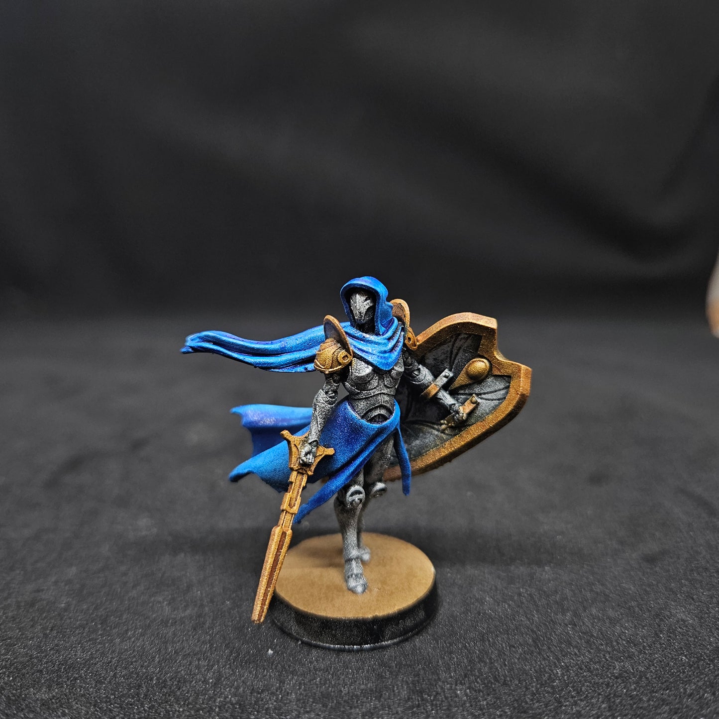 Saludo paladín nacido del hierro femenino