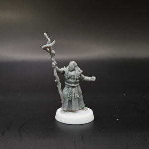Ironmoor Orc Shaman
