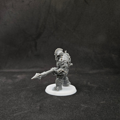 Troll de guerra blindado con lanza