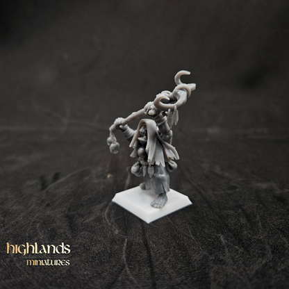 Orc Shamans
