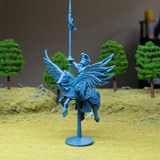 Sunland General on Pegasus