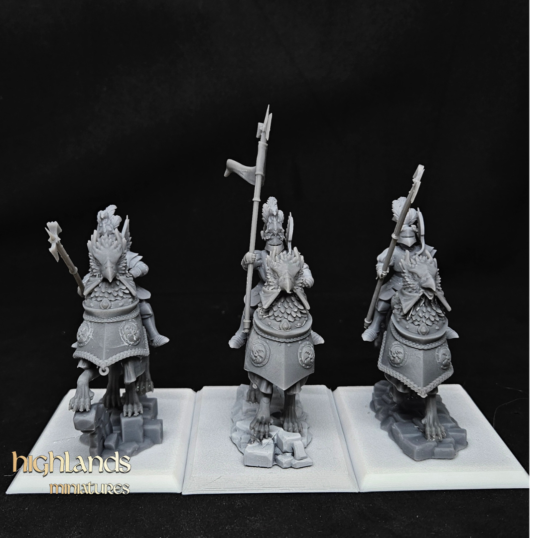 Sunland Knights of the Rising Sun