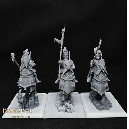 Sunland Knights of the Rising Sun