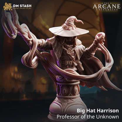 Big Hat Harrison - Professor of the Unknown Bust