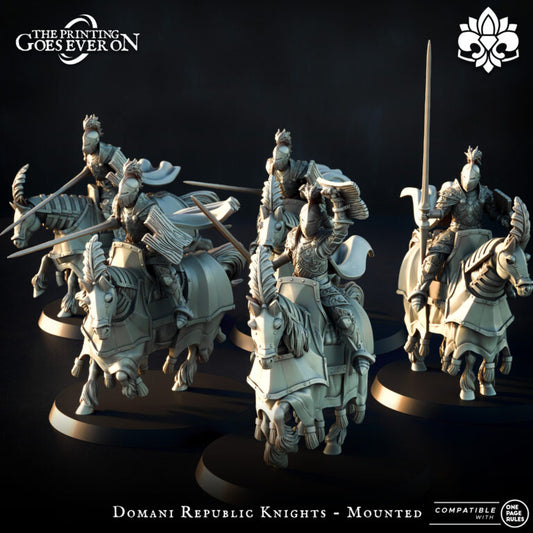 Domani Republic Knights