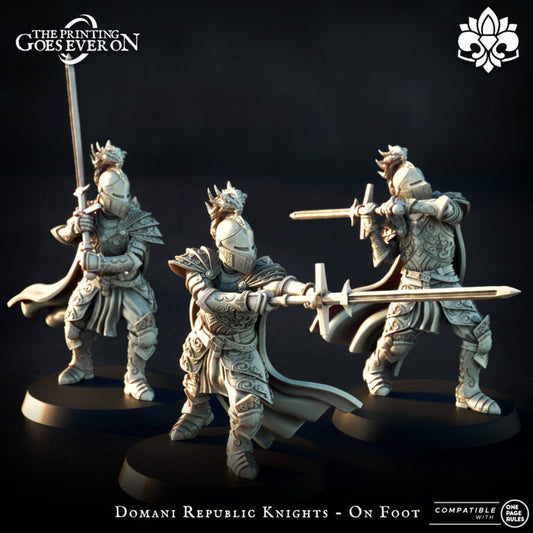 Domani Republic Knights on foot