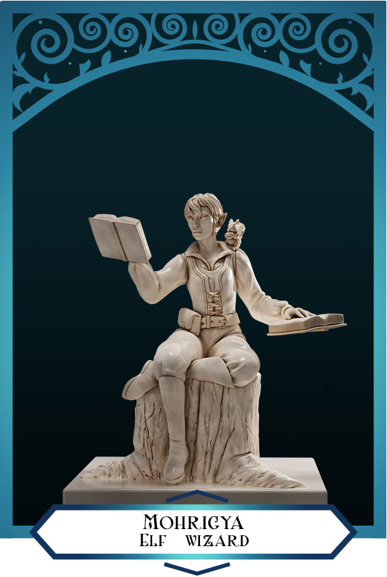 Mohrigya Female Elf Wizard