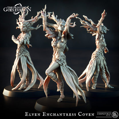 Guerreros elfos de Brightwood