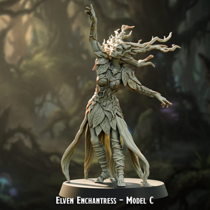 Guerreros elfos de Brightwood