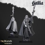 Load image into Gallery viewer, Damsels of Gallia
