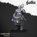 Load image into Gallery viewer, Gallia Men at Arms
