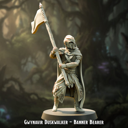 Guerreros elfos de Brightwood