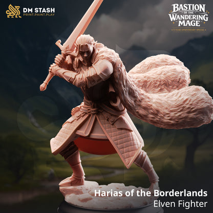 Harias of the Borderlands – Elven Fighter