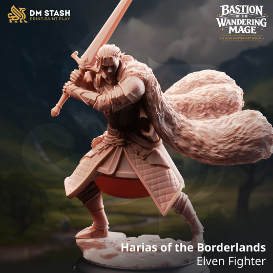 Harias of the Borderlands – Elven Fighter
