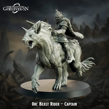 Ard Exarchate Orc Beast Riders