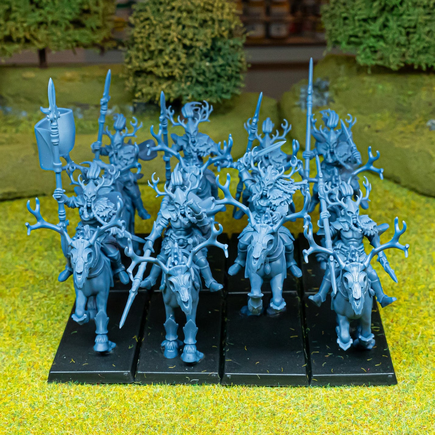 Forest Riders