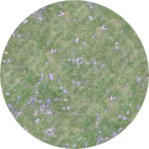 Objective Set - Subtle Style