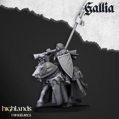 Royal Knights of Gallia