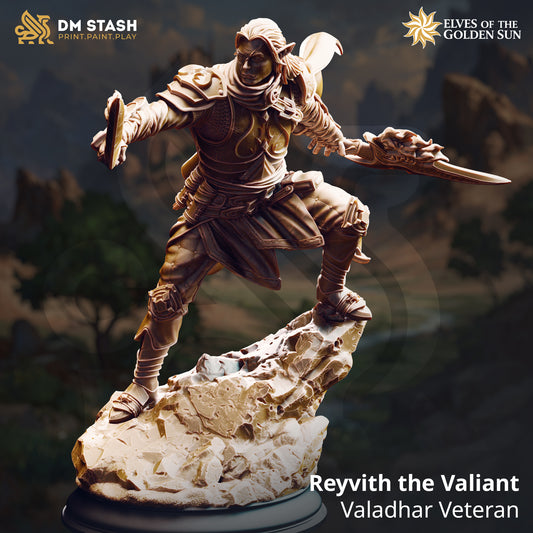Reyvith the Valiant - Valadhar Veteran