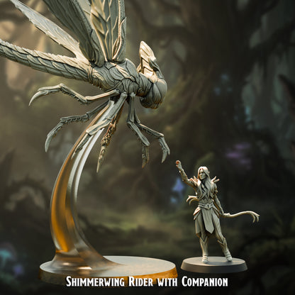Guerreros elfos de Brightwood