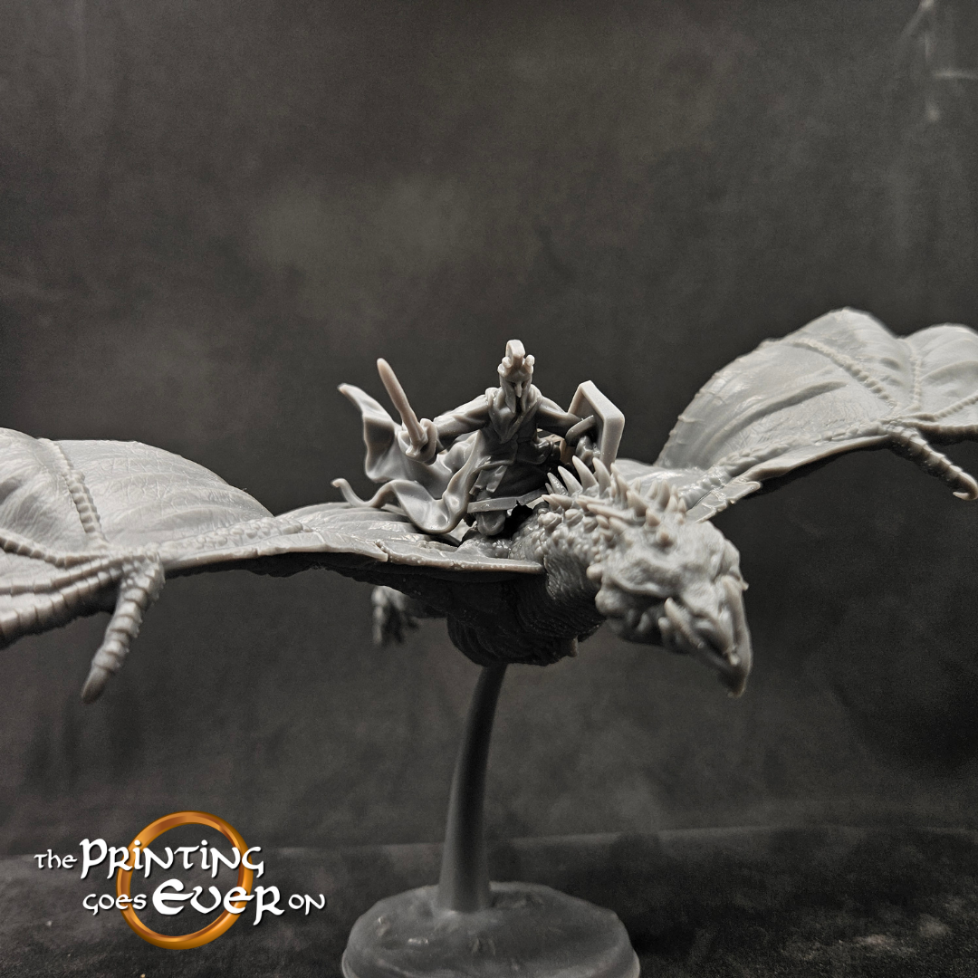 Dark Rider on Wraithbeast - alternate sculpt