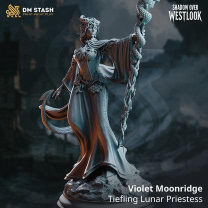 Violet Moonridge – Tiefling Lunar Priestess