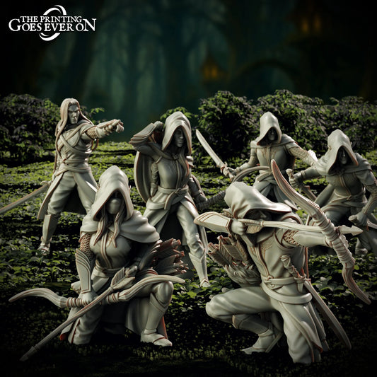 Guerreros elfos de Brightwood