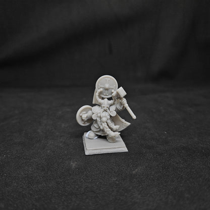 Dwarf Prince with Hammer