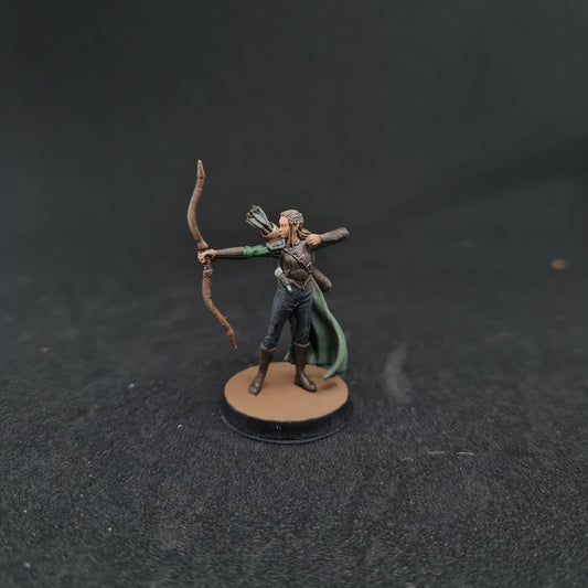 Veralli Female Elf Ranger