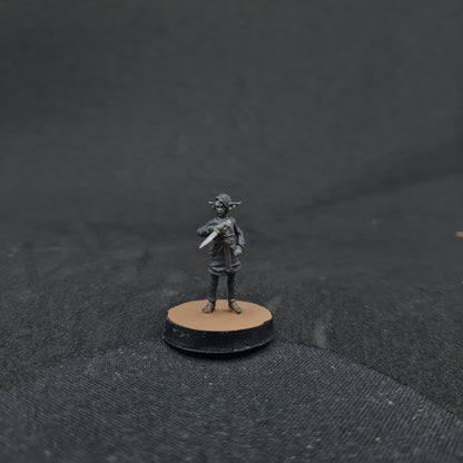 Nulsai Female Goblin Rogue