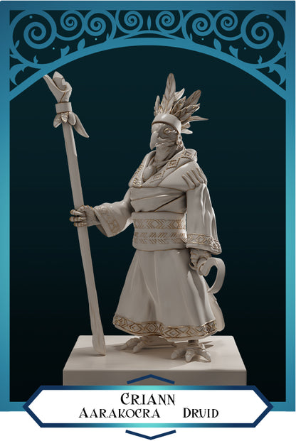 Criann Mujer Aarakocra Druida
