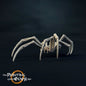 Spiders
